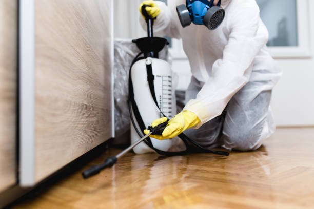 Wasp Removal Services in Woodburn, IN