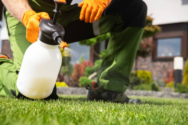 Best Flea Control Services  in Woodburn, IN