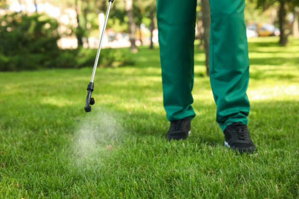 Best Insect Control  in Woodburn, IN