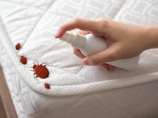 Best Pest Removal Services  in Woodburn, IN