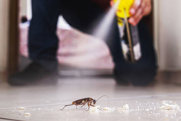 Best Commercial Pest Control Services  in Woodburn, IN